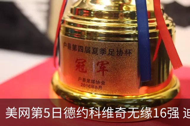 美网第5日德约科维奇无缘16强 迪米卢布列夫会师